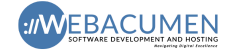 WebAcumen Software Development and Hosting